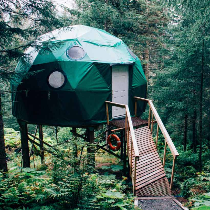 Tree House Camping